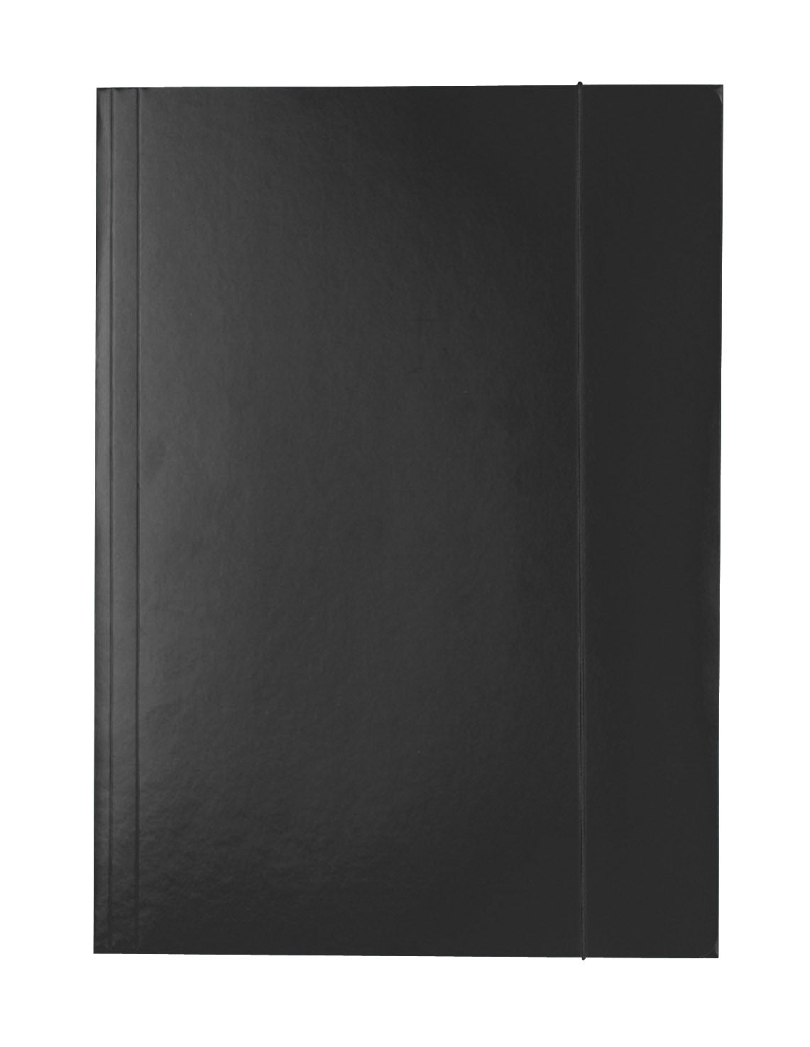 MAPA CARTON CU ELASTIC NEGRU ECONOMY ESSELTE MAPA CARTON CU ELASTIC NEGRU ECONOMY ESSELTE